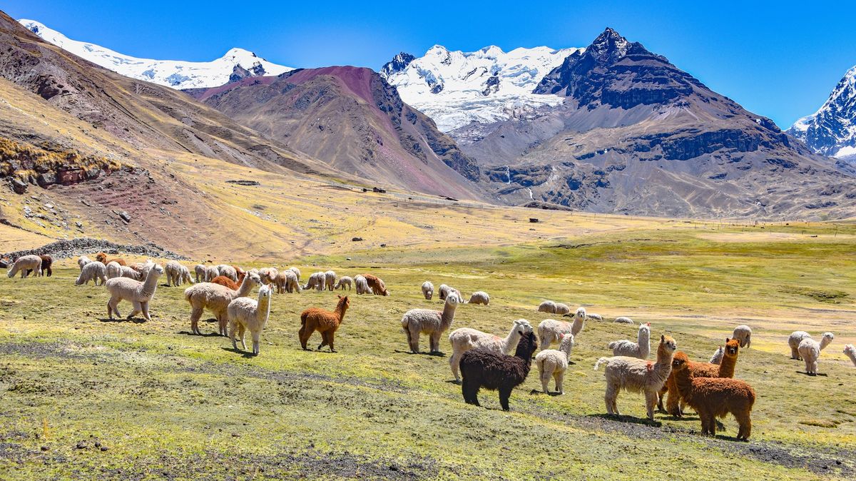 KVÍZ: Peru není jen Machu Picchu. Co o jihoamerické zemi víte?